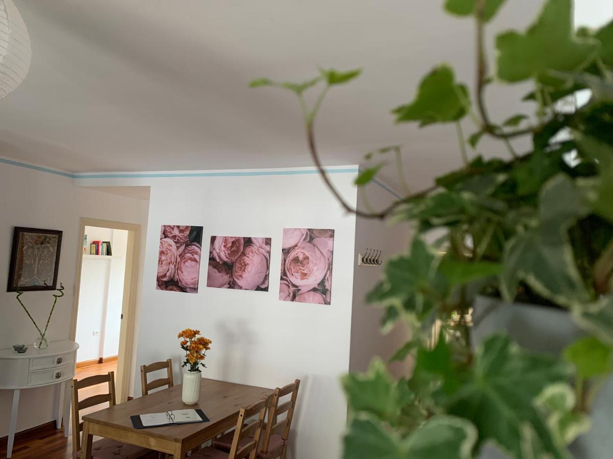 La Casita de mi Alma - Das Haus meiner Seele  Tegueste Exterior foto